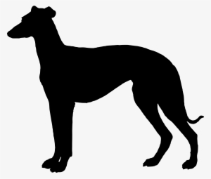 Greyhound Png Library - Greyhound Silhouette #4034619