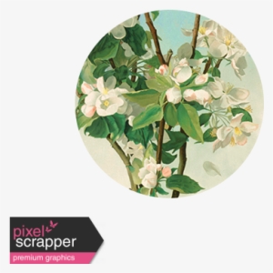 Apple Blossom Brad Disk - Artificial Flower #4034839