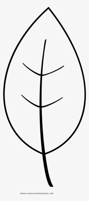 Leaf Coloring Page - Line Art #4035040