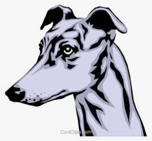 Greyhound Royalty Free Vector Clip Art Illustration - Greyhound Head Clipart #4035099