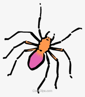 Cartoon Spider Royalty Free Vector Clip Art Illustration - Spider Clip Art #4035159