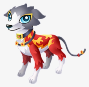 Italian Greyhound Juvenile - Italian Greyhound #4035254