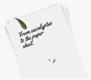 2 Forestry - Document #4035453