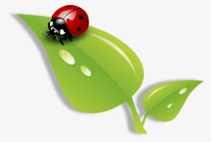 Double Click Here To Add Text - Ladybug #4035457