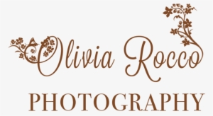 Logo - Photographer #4035512