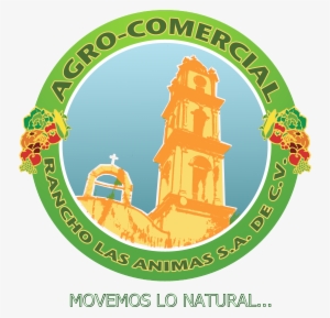 Exportacion De Frutas Y Verduras - Vegetable #4035857