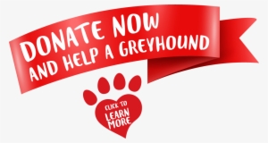 Greyhounds As Pets #4036128