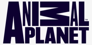 Animal Planet - Animal Planet Tv Logo #4036179
