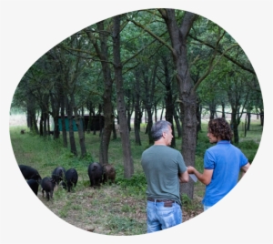 Into This Adventure With His Know-how, Convinced That - Grove #4037035