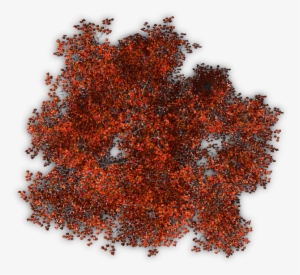 Tree Autumn 7 - Fall Tree #4037521