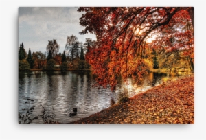 Autumn Trees Branches Hanging Over River - Nature Wallpaper 1920x1080 Autumn Fall #4037737