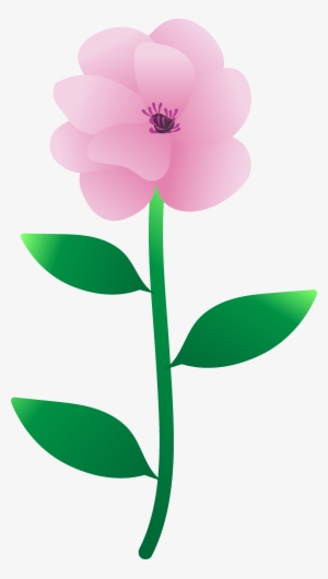 You Created A Magnolia - Common Peony #4037881
