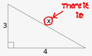 Aaron Rotenberg, Via Wikimedia Commons - Wikimedia Commons #4038068