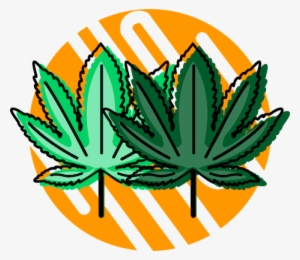 The Difference Between Hemp And Cannabis #4038508