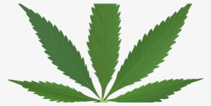 Does Marijuana Make You More Creative - Pot Leaf #4038831