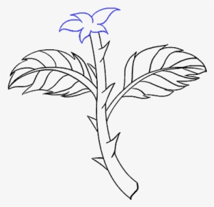 How To Draw Rose With A Stem Step - Drawing #4039260