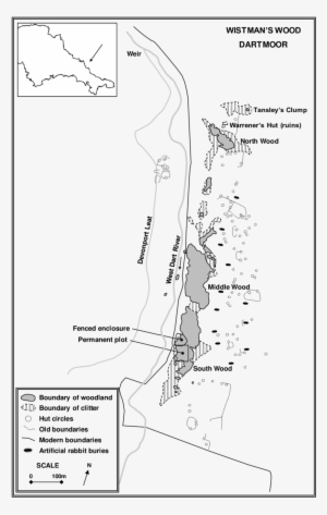 Site Map Of Wistman's Wood - Wistman's Wood #4039485