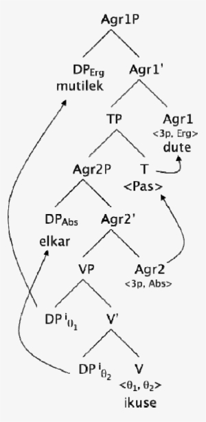 Diagrama De Relaciones Entre Los Componentes De Una - Sentence #4039764