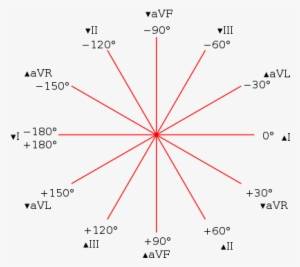 Hex Axial - לידים אקג #4039766