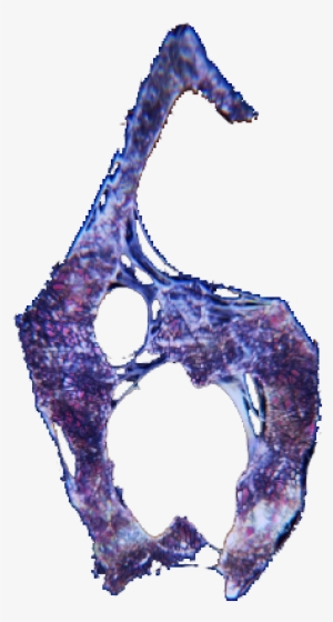 Re 6 Diseño Numero 6 - Resident Evil 6 #4040035