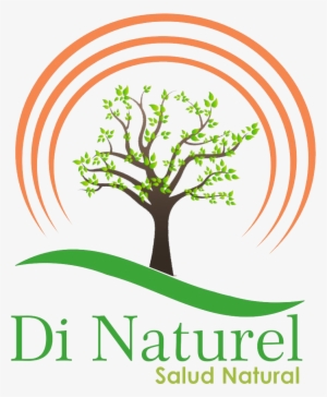 Di Naturel Logo Dise O Web Monterrey - Illustration #4040421
