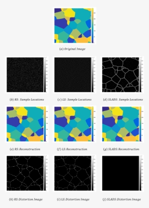 Images Illustrating The Sampling Locations, Reconstructions - Varnish #4040430
