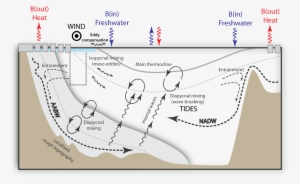 Moc Drivers Cartoon - Carbon Isotopes Ocean Circulation #4041349