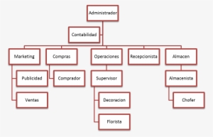 Organigrama Ventas - Diagram #4041897