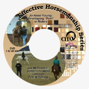 Developing Feel In Riders Dvd Cover - Megan Henderson #4042249