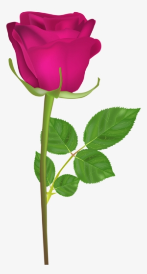 Rose Png - Happy Birthday Rose Gif #4043024