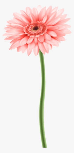 Flower With Stem Png #4043191 Flower With Stem Png #4043191