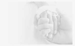 Hif Hospital Cover - Hospital #4043943