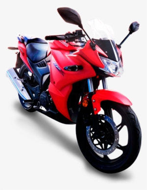 Disfrutando El Viaje Todo El Tiempo - Motorcycle #4044507