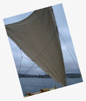 Crabclaw-sail ] - Portable Network Graphics #4044858