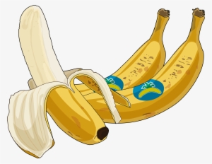 Archivo - Platano-canario - Platano De Canarias Png #4045435