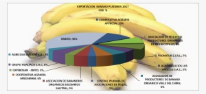 Plátano Banano Perú Exportación 2017 Marzo - Banano Criollo En Guatemala #4046217