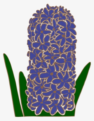 Hyacinth Png #4046455