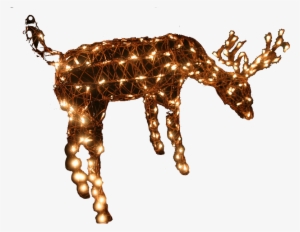 Photo Christmas Reindeer Light 5m Lead 1286 P - Christmas Day #4046460