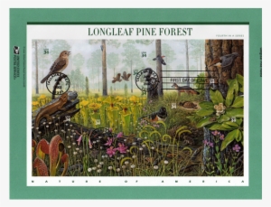 Carnivorous Plant Stamps - Nature Of America Stamp Series #4046940