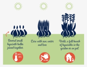 Info Engels - Infographic #4047158