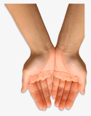 Palmistry #4047555