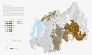 Mappingrwanda Agriculture-maize - Agriculture #4047675