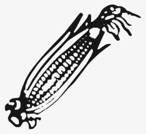 Open - People's Party Of Arunachal Symbol #4047929