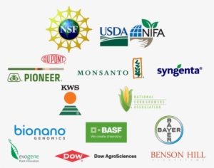 Interested In Becoming A Sponsor Of The Maize Genetics - National Science Foundation #4048041