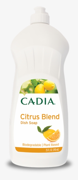 Garnier Intensive 7 Days Body Lotion Mango #4048471