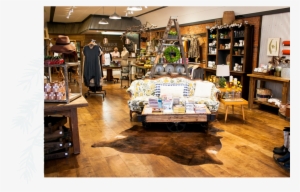 Blue Spruce 2 - Alpine A110 #4049568