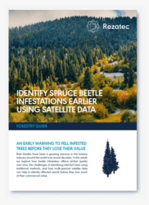 Download Forest Pest Guide - Dendroctonus Rufipennis #4049743