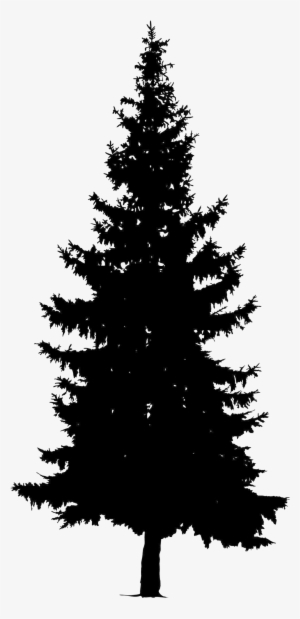 Welcome To Britt's Café - Pine Tree Vector Png #4049777