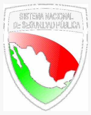 Sistema Nacional De Seguridad Publica - International Law 2/e Paperback #4049969