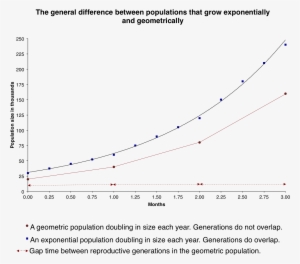 The General Difference Between Populations That Grow - Difference Between Exponential And Geometric #4050051